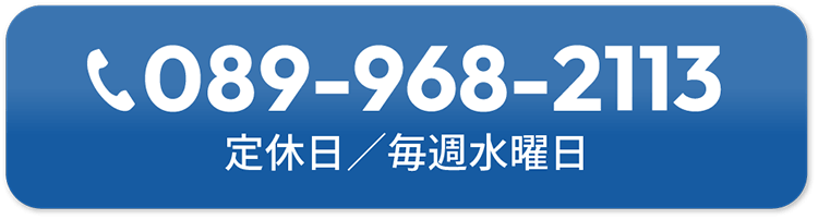 電話番号：089-968-2113